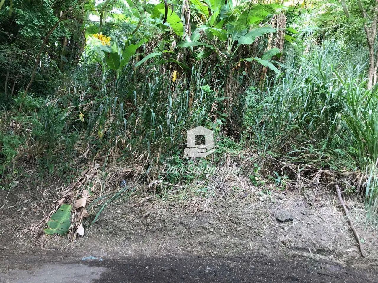 Terreno de 768m² à Venda em Piratininga - Foto 4