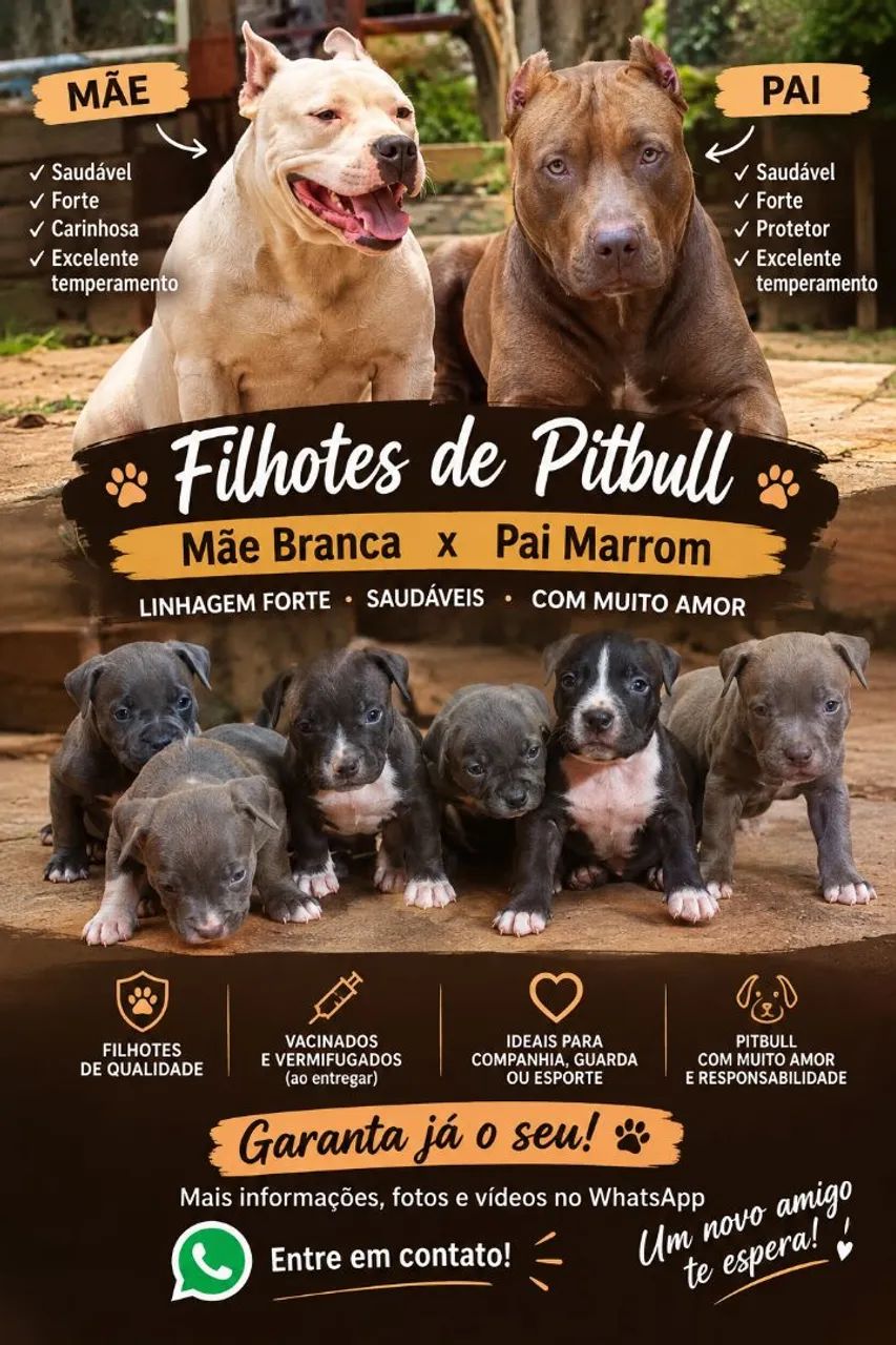 Vende-se Pitbull