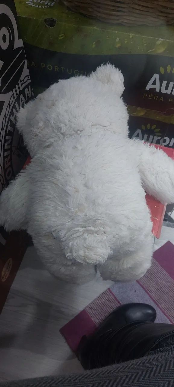 Ursinho - Foto 2