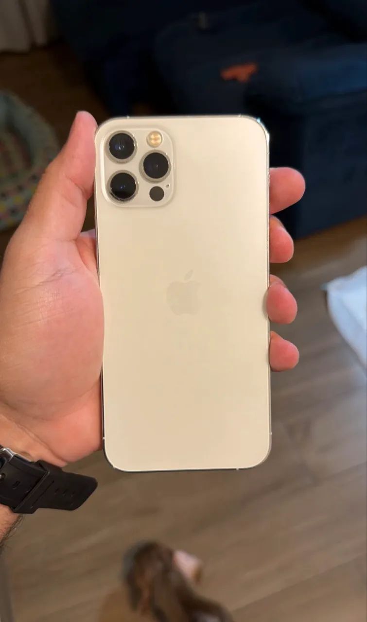 iPhone 12 Pro 