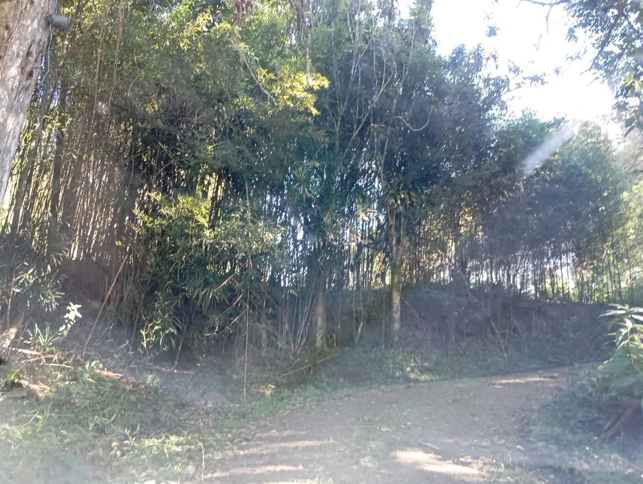 Vendo sitio em Petrópolis  - Foto 3