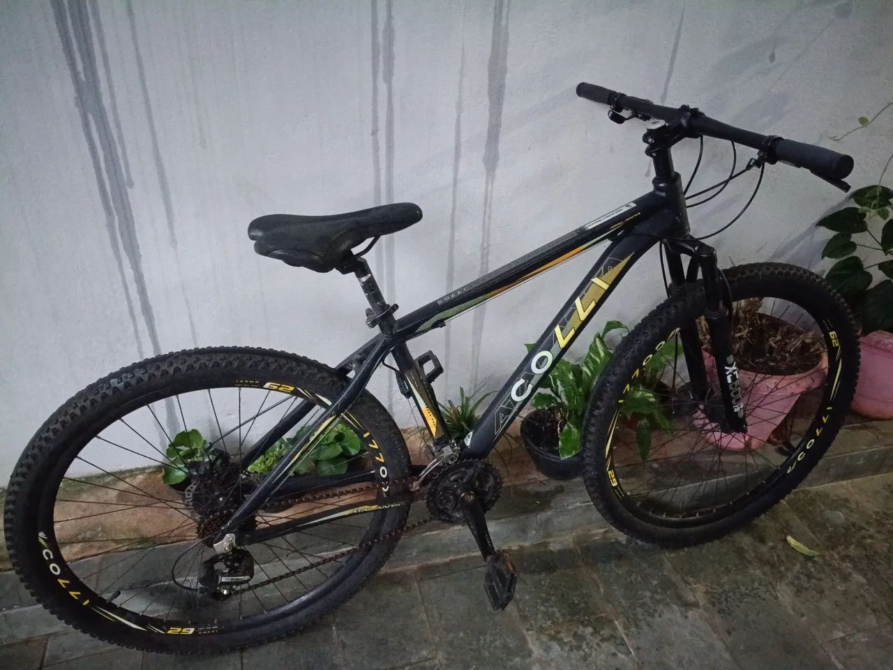 Bike coli