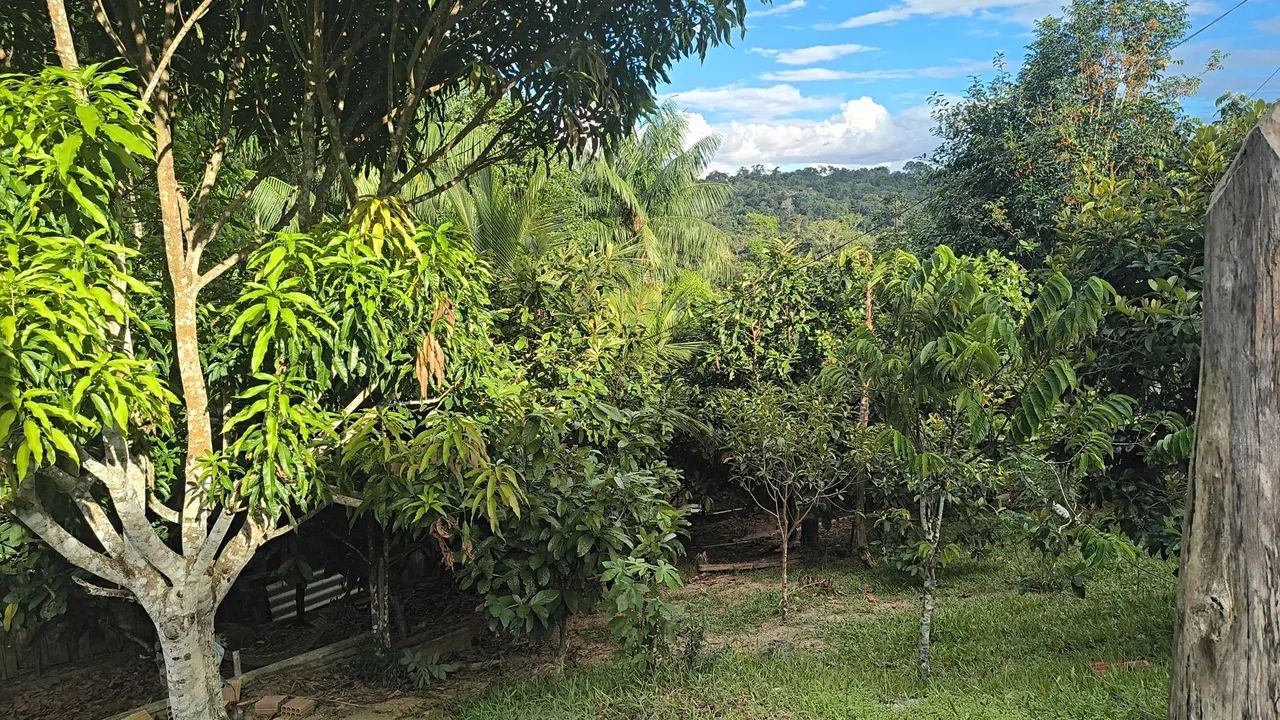 Foto - Manaus - Centro