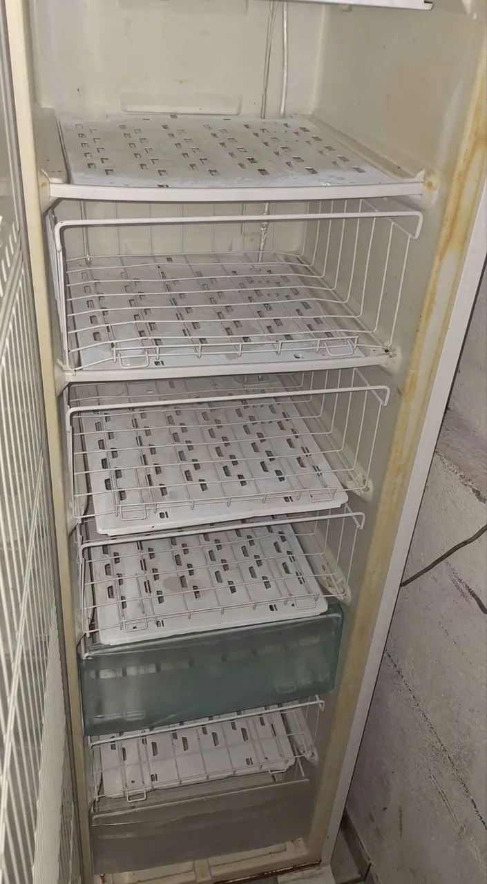 Freezer Electrolux 
