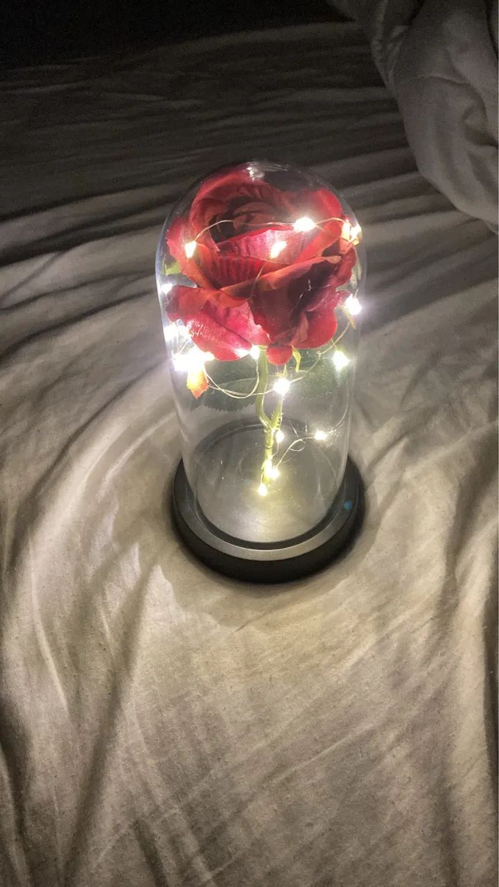 Rosa Vermelha em Cúpula com Luzes