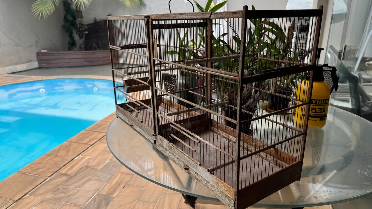 GAIOLA VOADEIRA C/ DIVISORIA - Foto 2