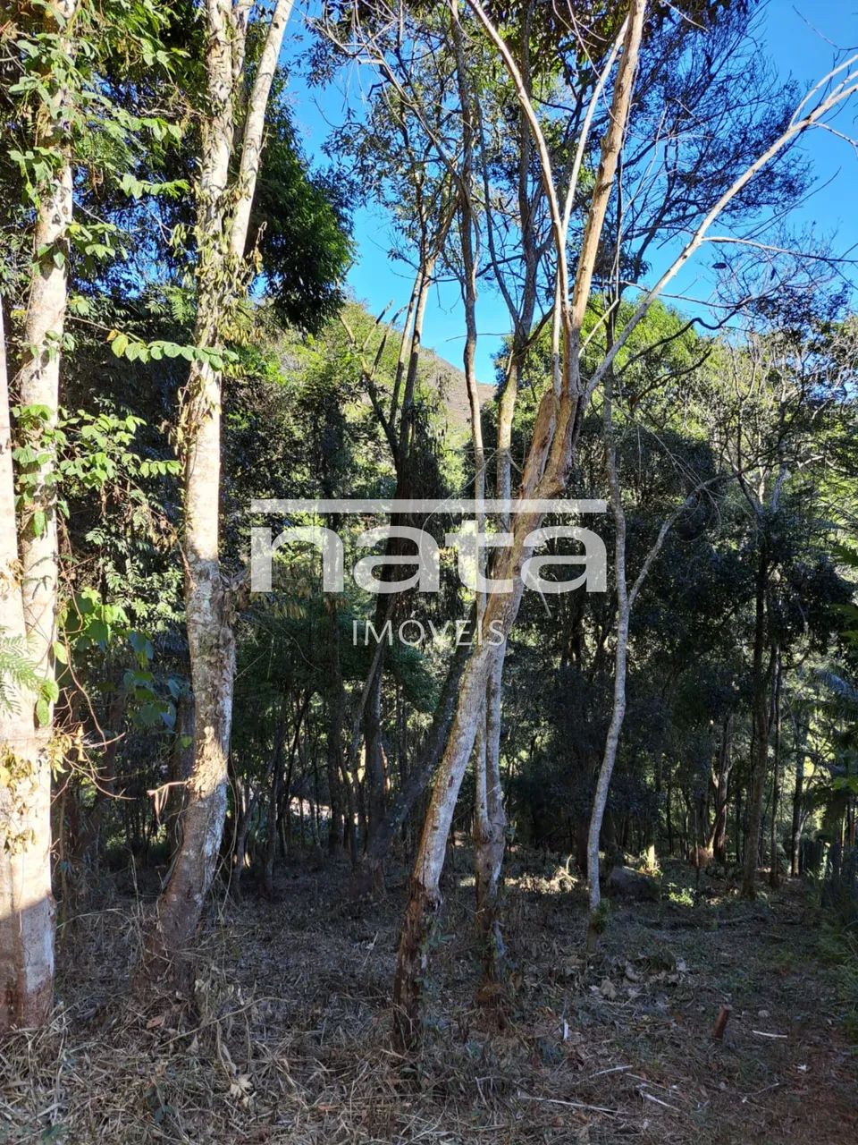 Terreno | 1870m² | Nogueira | Petrópolis - Foto 4
