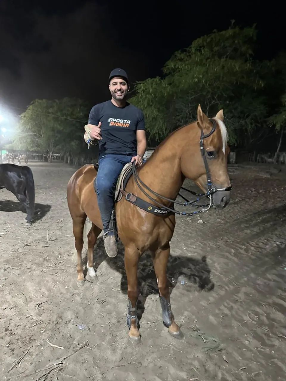 Potro Garanhão Iniciado de Direita - Foto 4