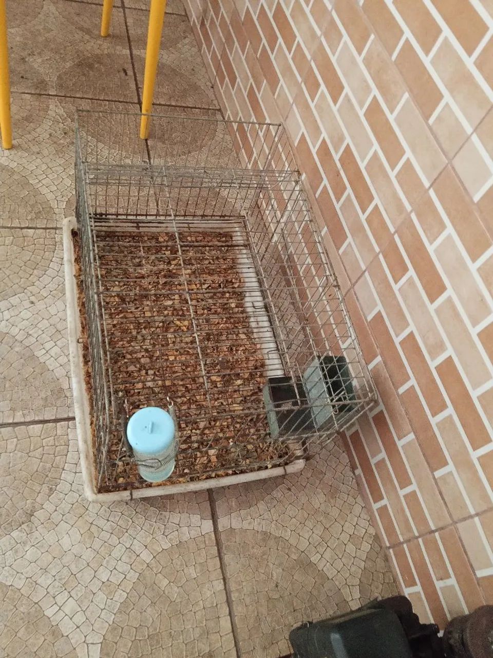 Gaiola de coelho  - Foto 4