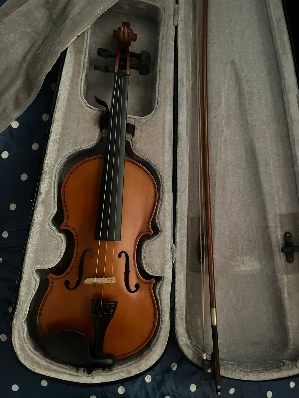 Violino com tudo dentro da caixa e um Breu de brinde 