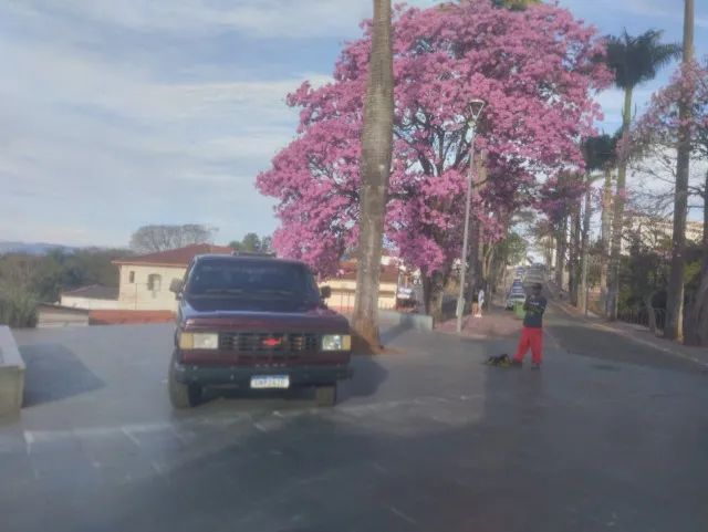 Chevrolet D-20 D-20 S / Luxe 3.9/4.0 T.Diesel 1990
