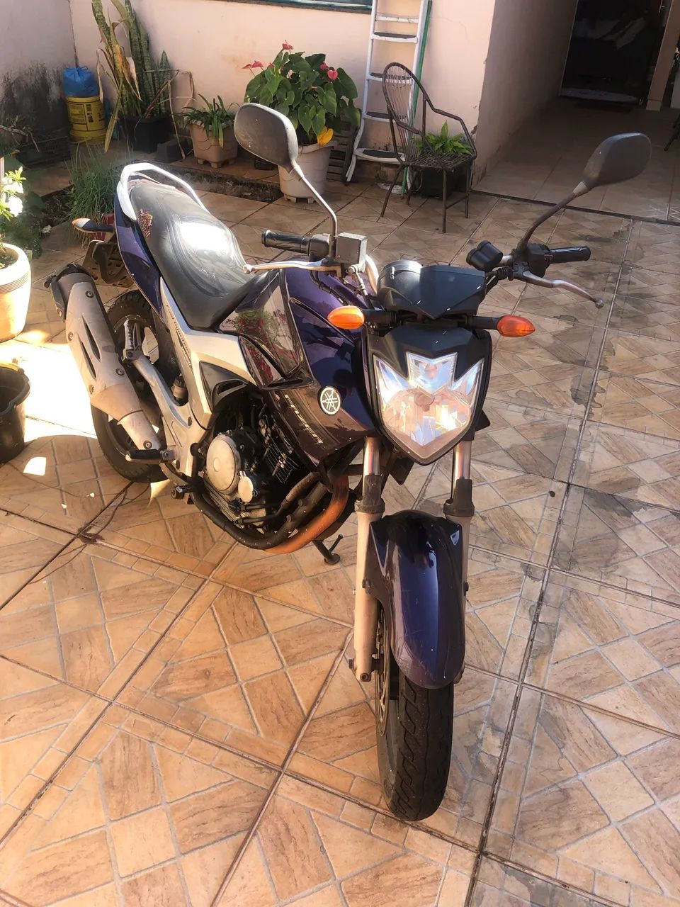 Fazer roxa  - Foto 2
