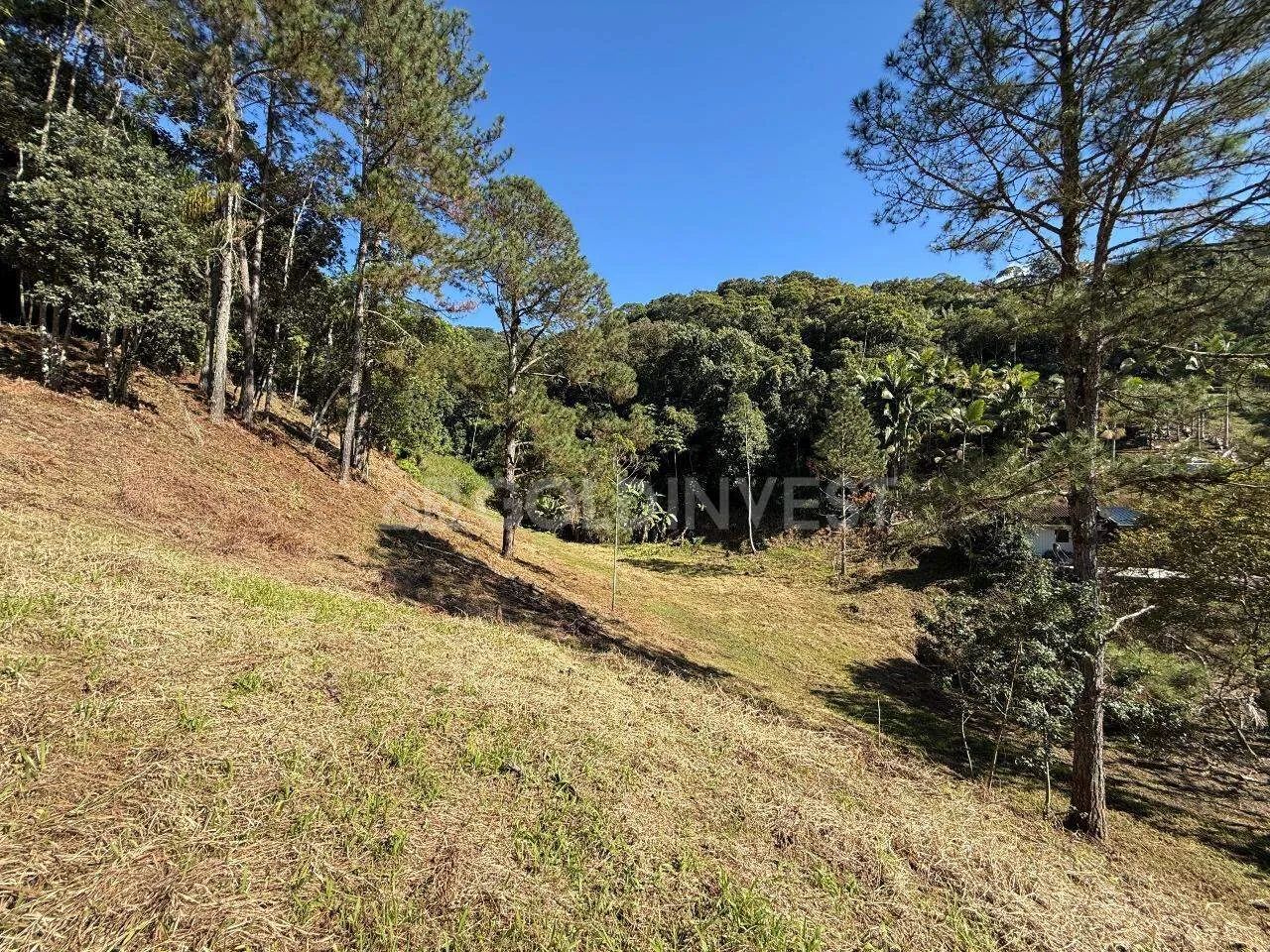TERRENO PARA SÍTIO EM GUABIRUBA - Foto 4