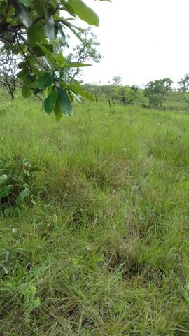 Formosa Goiás - Foto 10