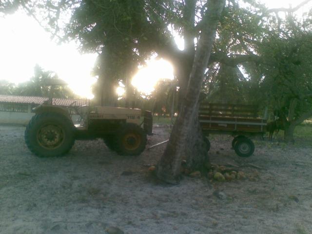 Fazenda 500ha - Foto 12