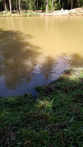 Pousada - Foto 16