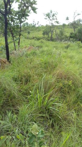 Formosa Goiás - Foto 11