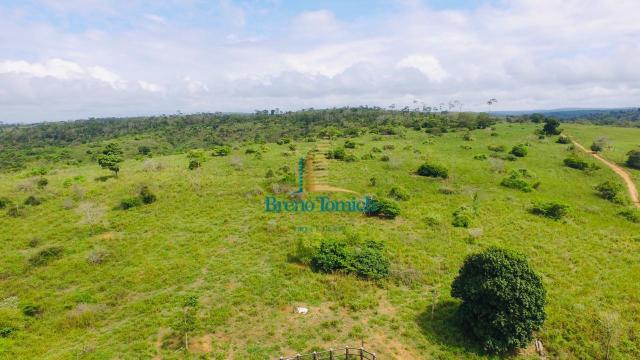Fazenda à venda, 10115600 m² por r$ 8.000.000,00 - zona rural - nanuque/mg - Foto 5