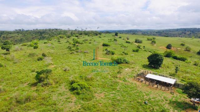 Fazenda à venda, 10115600 m² por r$ 8.000.000,00 - zona rural - nanuque/mg - Foto 11