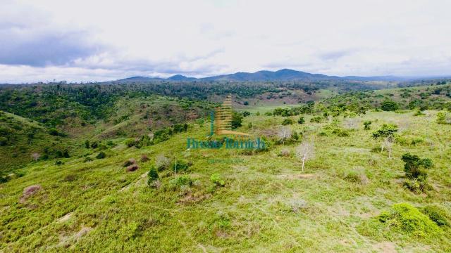 Fazenda à venda, 10115600 m² por r$ 8.000.000,00 - zona rural - nanuque/mg - Foto 2