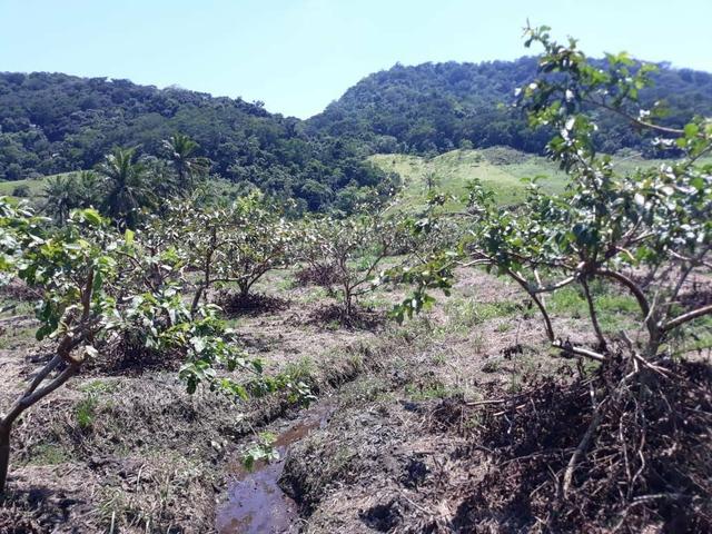 Belíssimo sítio em Cachoeiras de Macacu RJ 122 medindo 20.000m2 oportunidade!!!! - Foto 2