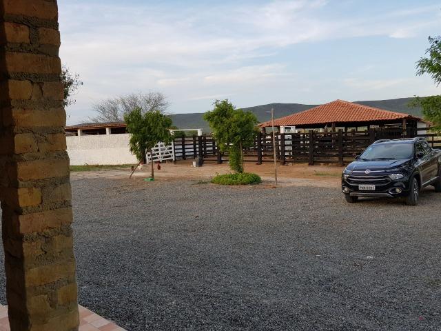 Fazenda de 791 tarefas, com sede nova e curral de ripão coberto com embarcador e balança - Foto 15