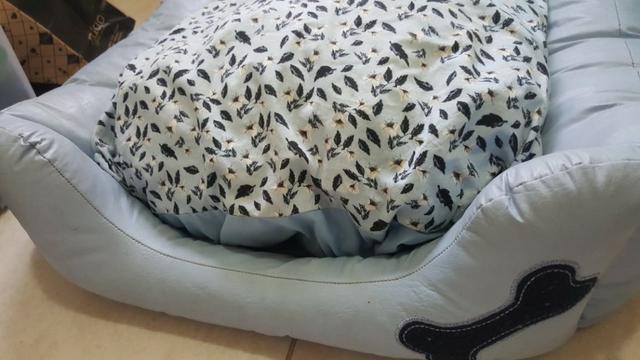 Cama Pet Cachorro - usado - Foto 5