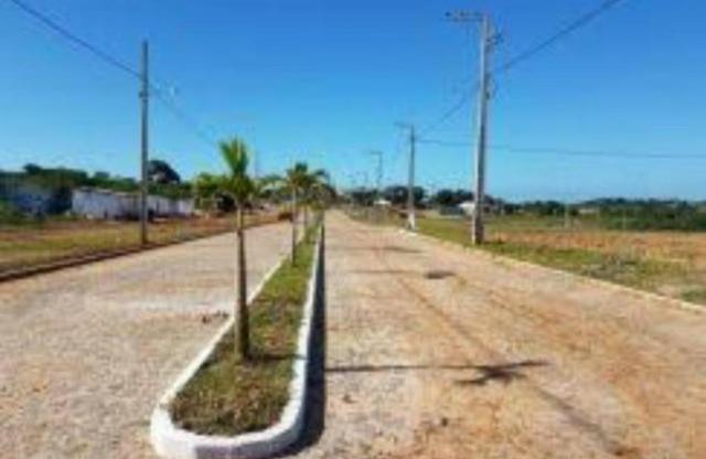 LOTE - no Colorado!