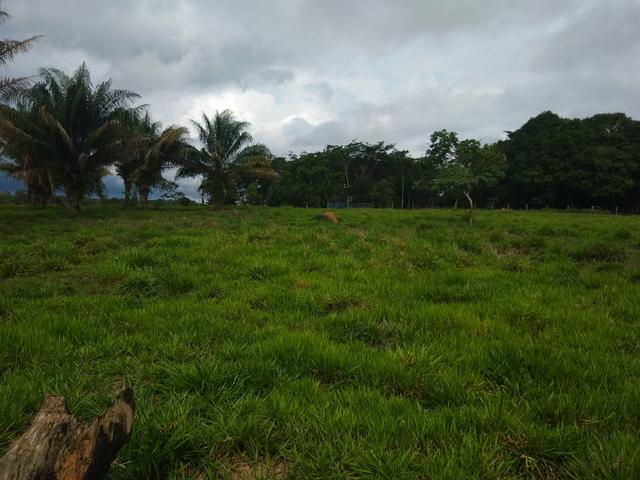 Vende-se chácara após o município do quinari 5 km, projeto Limeira ramal do calango - Foto 3