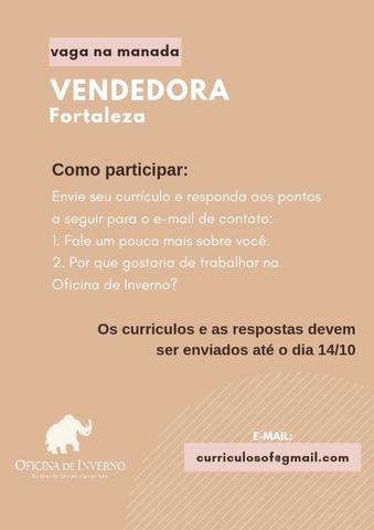 Vendedora de Roupas de Frio - Horário Integral (Temporário)