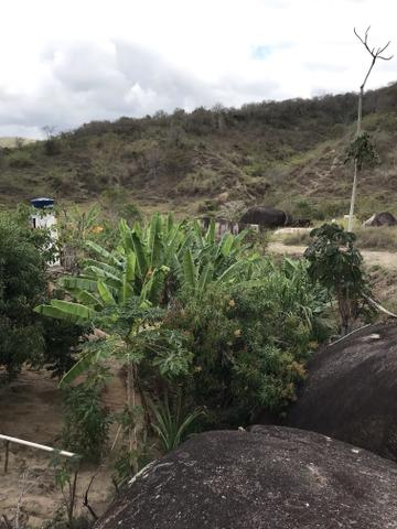 Fazenda em Minas - Foto 18