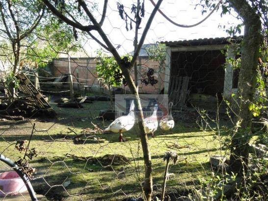 Chácara urbana, 1.590m² à venda, por R$ 400.000 - Jardim Monte Líbano - Piraquara/PR - Foto 16