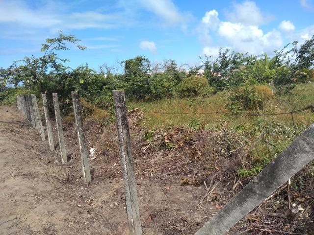 Terrenos - Foto 5