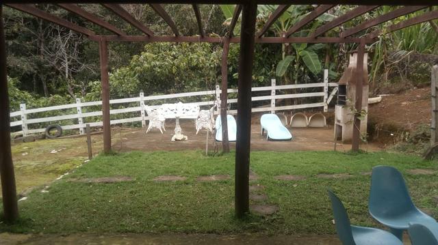 Vendo Fazenda Totalmente Produtiva - Foto 5