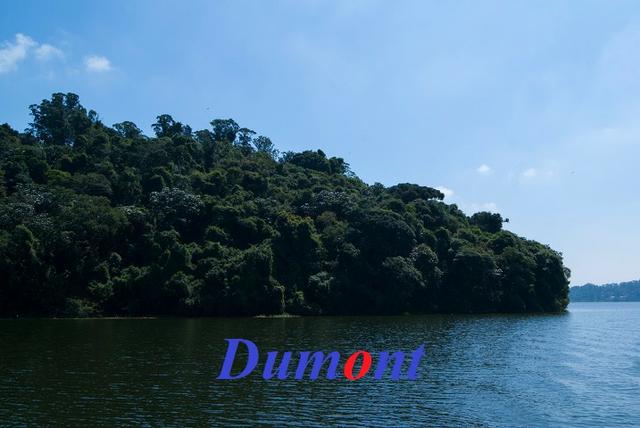 Lotes de 1.000,00m² Com excelente Topografia - Foto 5