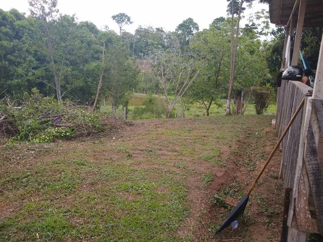 Vende-se chácara após o município do quinari 5 km, projeto Limeira ramal do calango - Foto 5