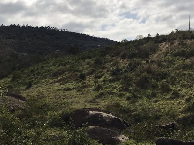 Fazenda em Minas - Foto 5
