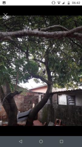 Vendo casa localizada no centro da cidade - Foto 3