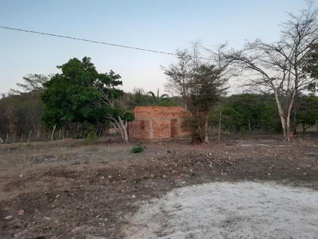 Chácara - Foto 10