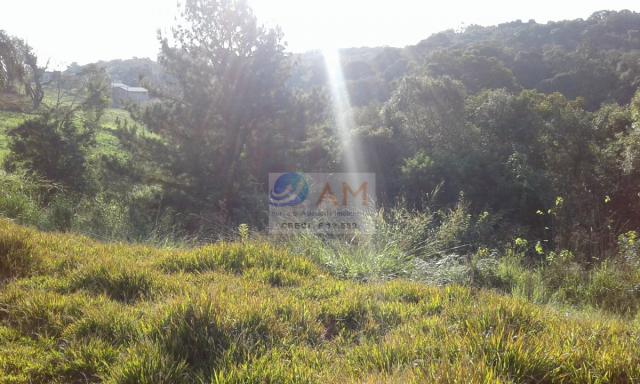Área, Vila Gilcy, Campo Largo-PR - Foto 12