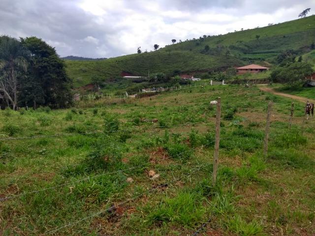 Ref.: 884 Maravilhoso sítio com 26.000 m² em Torreões - Foto 15