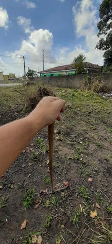 Terreno comercial - Foto 4