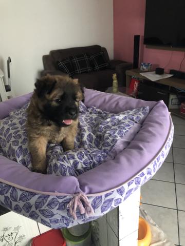 A venda - Foto 2