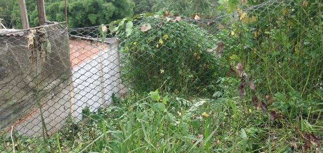 Terreno no São Francisco - Foto 2