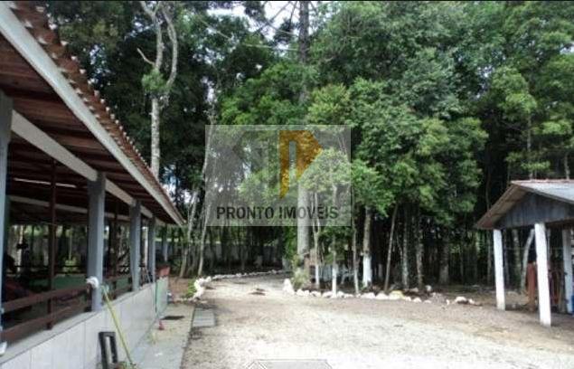 Chácara para Venda em São José dos Pinhais, SÃO MARCOS, 3 dormitórios, 1 banheiro - Foto 2