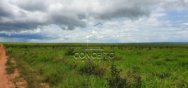 Fazenda na Região de Primavera - Foto 2