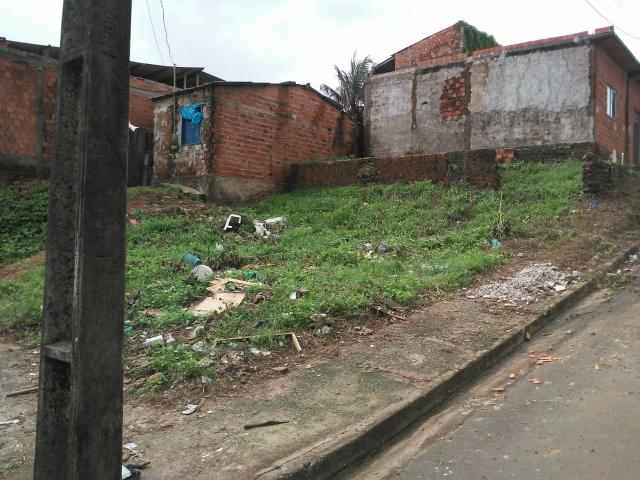 Vendo Terreno Residêncial Paraíso - Foto 5