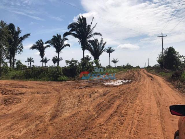 Terreno residencial à venda, área rural de porto velho, porto velho. - Foto 2