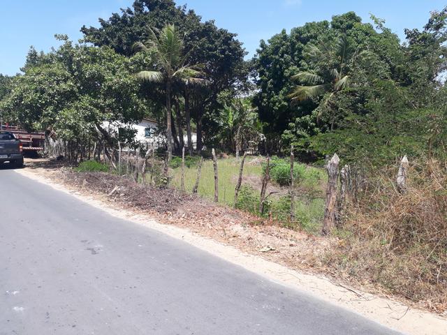 Terreno em barreirinhas - Foto 3