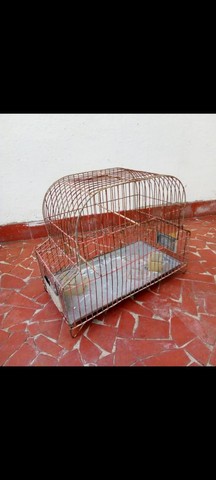 Gaiolas de passarinhos, 4 por R$60